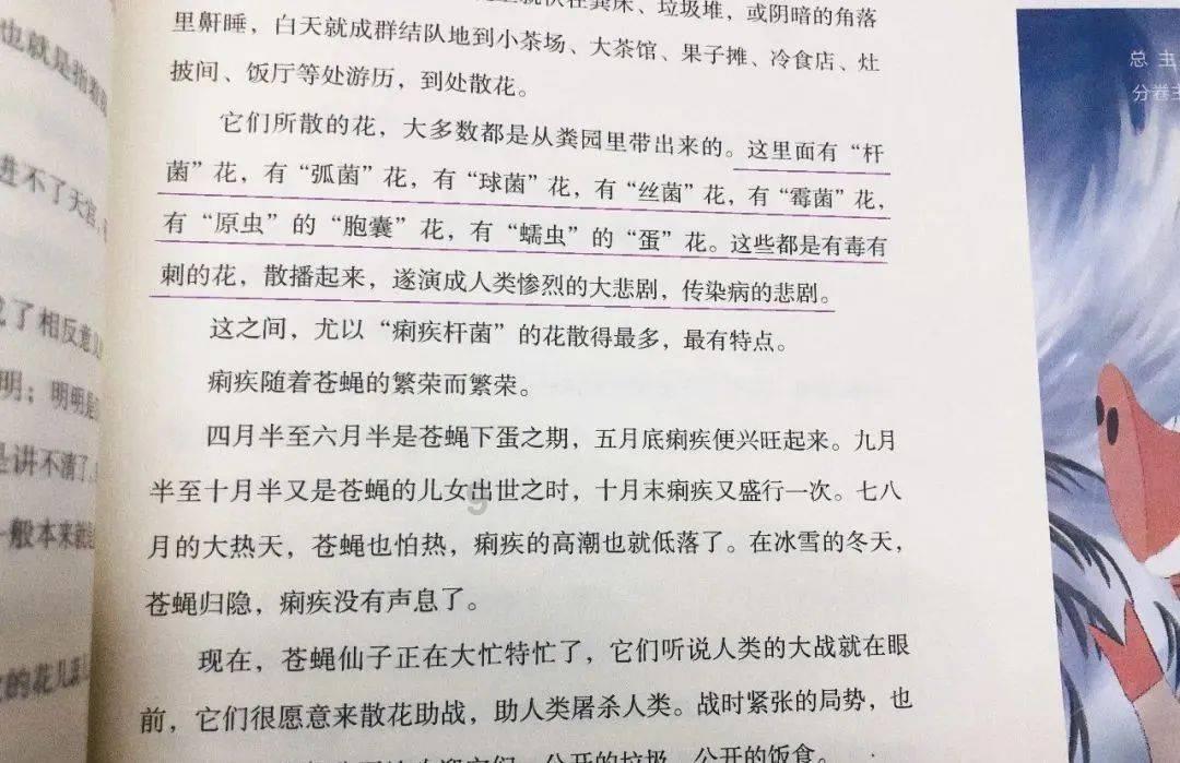 枝江不动产登记改革获省级表彰